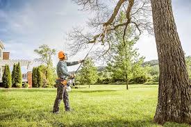 Best Lawn Renovation and Restoration  in Han, GA